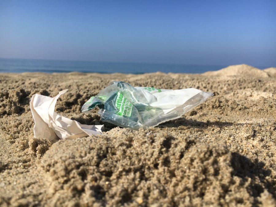 This lone bag was one of hundreds scavenged by Sage Creek students in pursuit of cleaning the beach