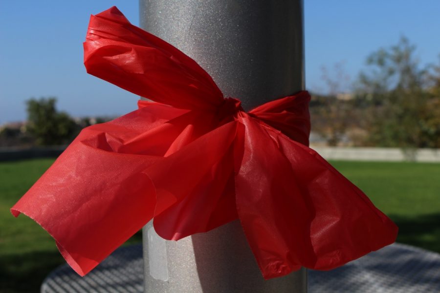 Trees and flagpoles alike are equipped with velvet red ribbons 
