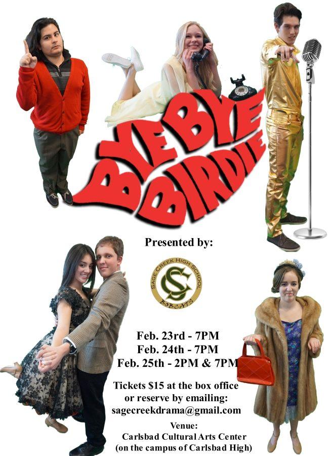 Advertisement poster for the seniors final musical, Bye-Bye-Birdie.