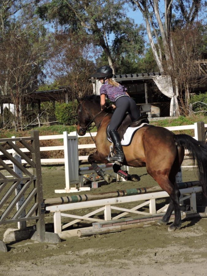 Freshman, Sophia Vansyke during her weekly practice with her favored horse:
Brighton. On many occasion Sophia works on her jumping technique with her many horses and sometimes takes to the trails for a hiking experience with her friends.