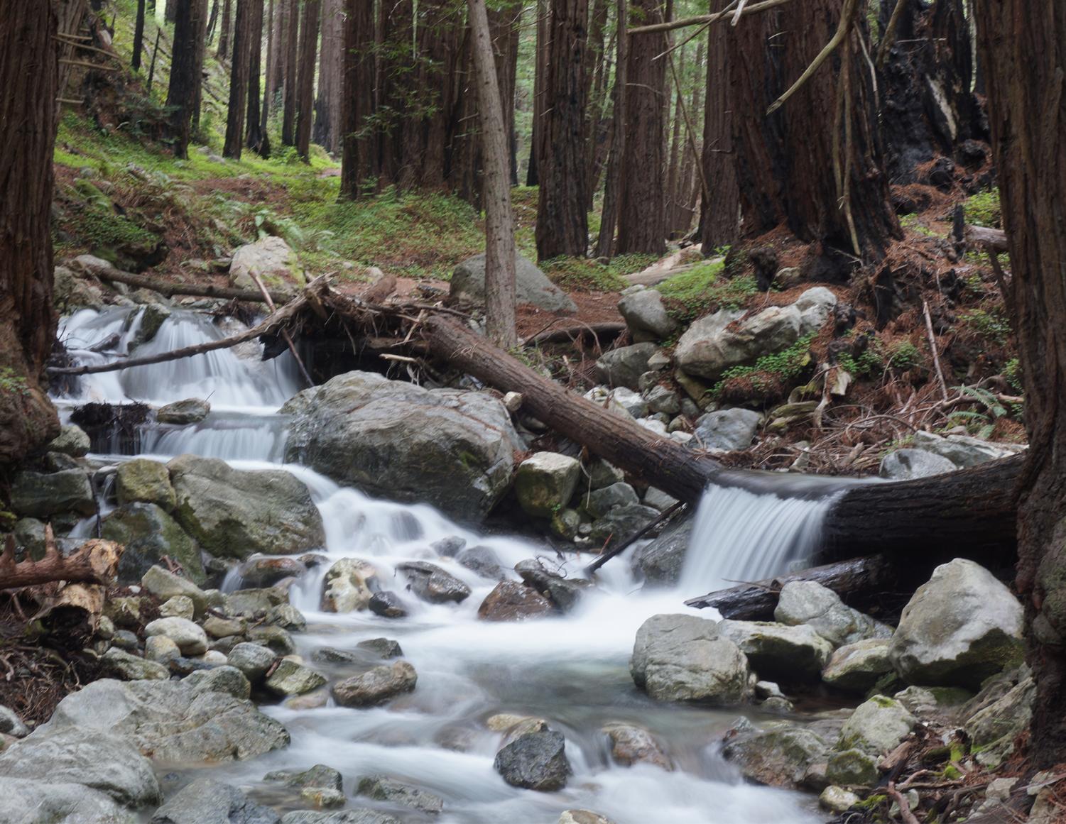 Big Sur Photo Gallery