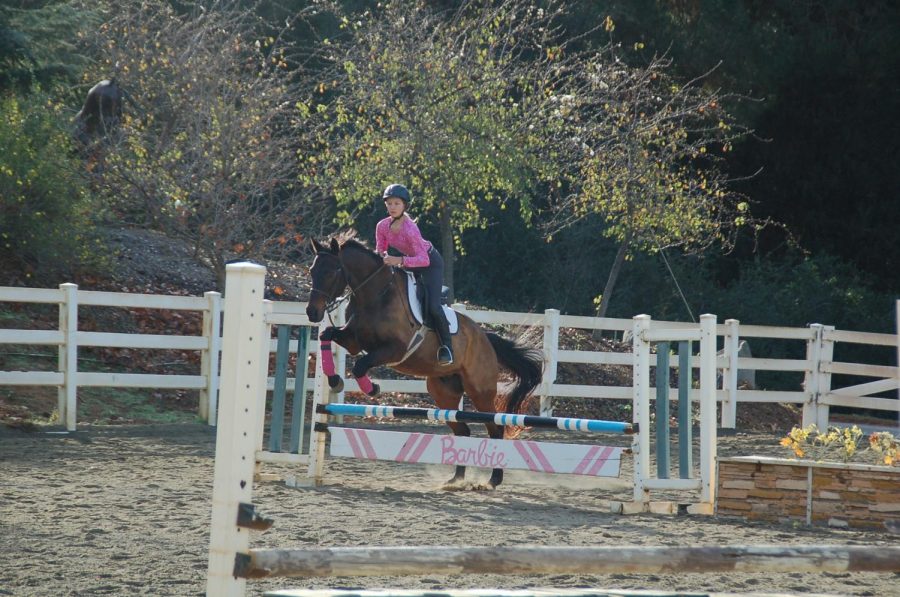 Freshman, Sophia Vansyke during her weekly practice with her favored horse: Brighton. On many occasion Sophia works on her jumping technique with her many horses and sometimes takes to the trails for a hiking experience with her friends.