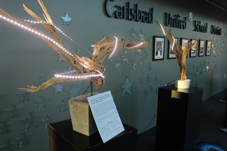These sculptures on display at the Gala, show different types of art and were on sale to raise money for the VAPA program. Students were able to volunteer to help create and set up these LED light and wood sculptures over the summer.