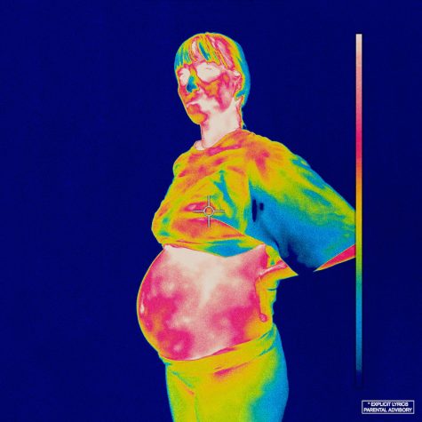 The iridescence album cover shows a pregnant women posing in front of a thermal camera. Although the meaning of this is still lacking, it is rumored that because the album is the first of the trilogy The Best Years Of Our Lives, the next two covers will show growing of the child.