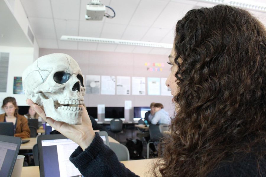 Senior Tessa Grantham shows off the iconic ‘skull’ from Shakespeare’s “Hamlet” in her AP Literature class. The class has finished the play and started preparing for a Socratic Seminar on Friday.