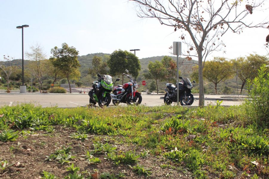 When driving or walking up to the upper parking lot, on the right you can usually find 3 or 4 motorcycles parked next to each other looking over the road. The riders, Jameson (J.T.) Miller, Kadin Coddington, Isaiah Felix-Chan and Jackson Buckley form the small, tight knit motorcycle community here at Sage Creek.