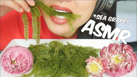  Mukbang Youtuber, SAS-ASMR, eats sea grapes which is a type of caviar. This video on Youtube collected a total of over 19 million views. 