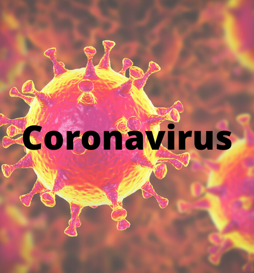 The coronavirus particle. The particle is spiked and can easily latch onto cell membranes which then enter human cells, causing the virus to enter the body. 
