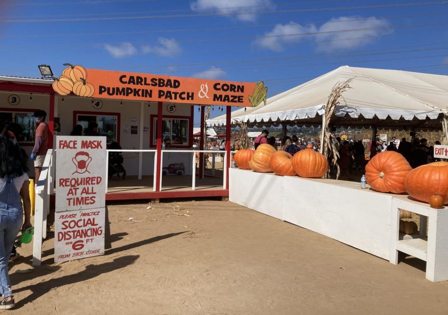 Community members prepare to go into the Carlsbad Pumpkin Patch and Corn Maze, requiring facial coverings at all times. The corn maze and pumpkin patch offer a safe unique fall experience, including the haunted corn maze at night on Fridays and Saturdays. 