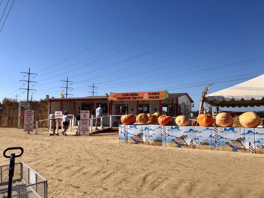  Tourists and members of the community are in line to purchase tickets before they are granted access into The Carlsbad Strawberry Field/Pumpkin Patch. Signs regarding COVID-19 rules and regulations are presented at the entrance so visitors can have a safe experience.