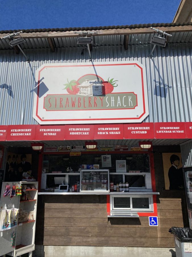 Strawberry Shack gets ready for more excited customers to come. The Strawberry Shack is a popular treat shop in Carlsbad Village, ready with fresh strawberry themed items!