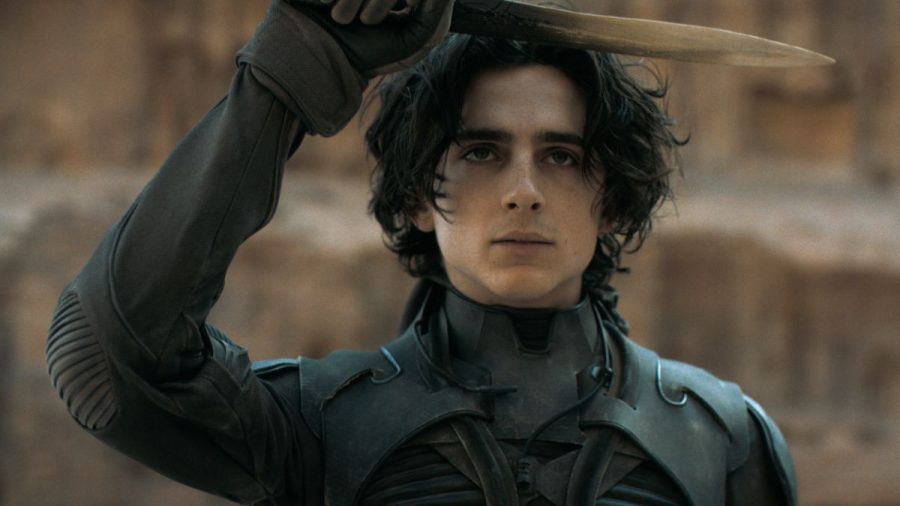 Timothée Chalamet played Paul in the 2021 version of Dune. In this photo, he is ready to fight for a spot in the Fremen community.