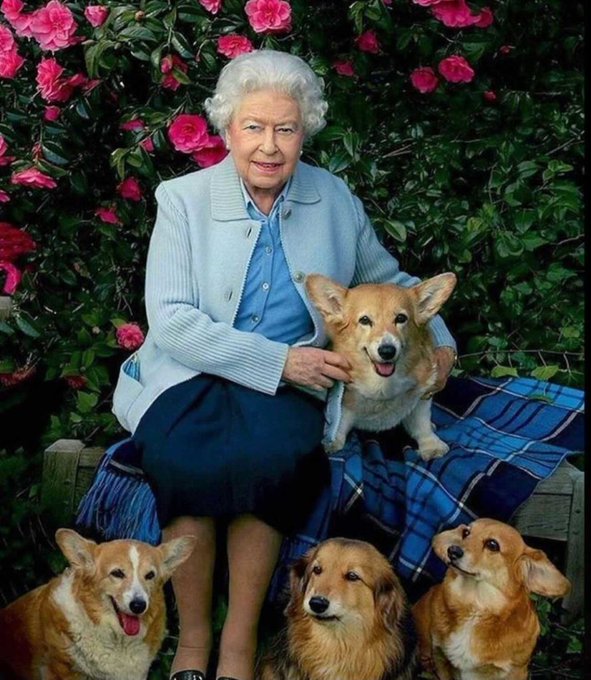 Queen Elizabeth II rests with her corgis in front of what looks to be a flower garden. These corgis played a big part in her life, and the dog breed had come to be associated with her legacy.