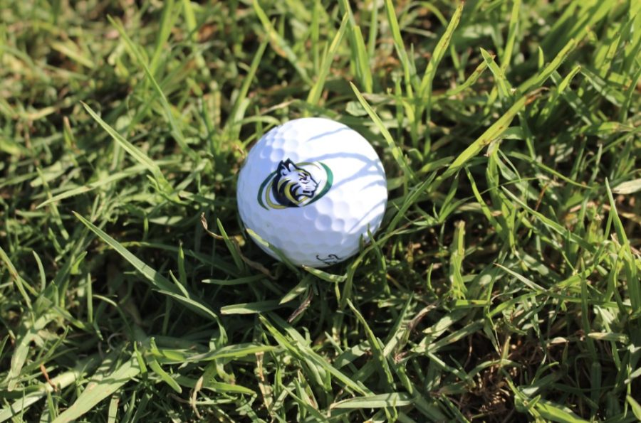 A golf ball, imprinted with the Sage Creek logo, lays in the grass. The girls began to start a round with this ball. 