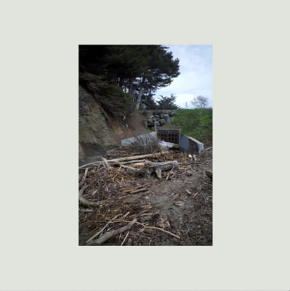 Mac DeMarco’s newly released album cover for the LP coming out in late Jan. The cover image features a sewer flooded with twigs and tree branches–hopefully eluding to a deeper meaning.