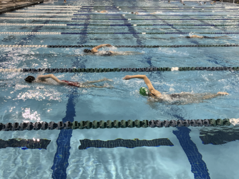 Swimmers practice their freestyle stroke. They are getting ready for an upcoming meet.