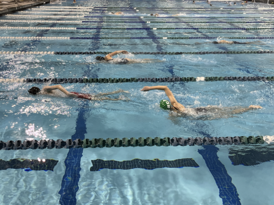 Swimmers+practice+their+freestyle+stroke.+They+are+getting+ready+for+an+upcoming+meet.