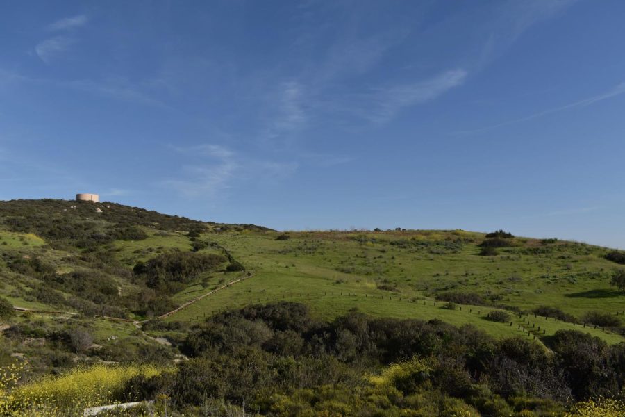What was previously darkened and barren land is now overwhelmed with greenery and bushes. Carlsbad’s protected land has become home to roughly 56 native plant species. 