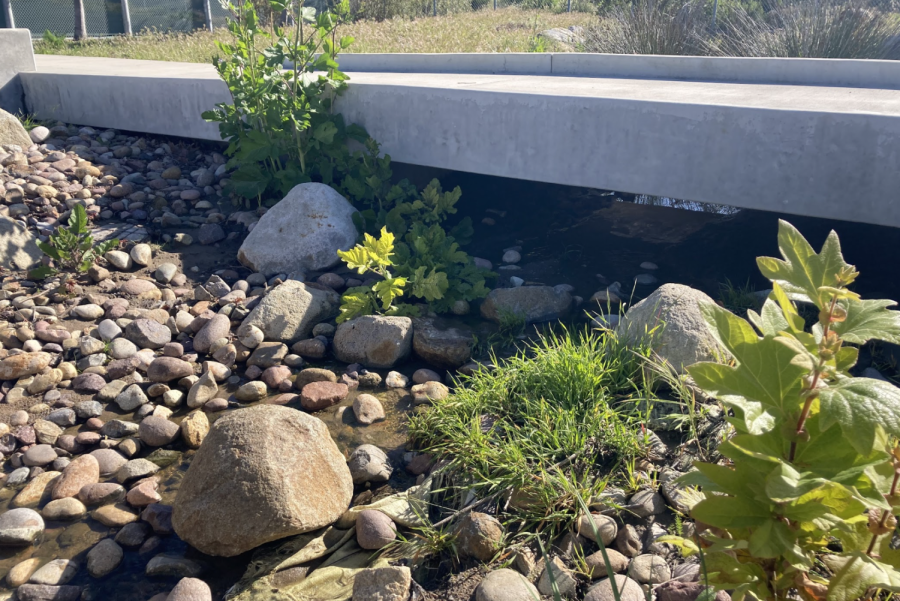 Sage Creek High School’s creek reaches record height. The school was named after the stream because of its location inside of our campus.