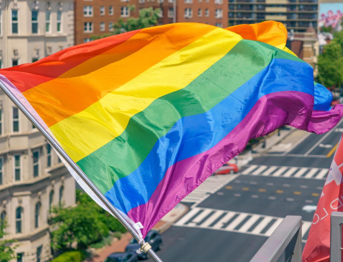 The+Rainbow+flag+is+used+to+represent+LGBTQ%2B+people+around+the+world.+They+can+often+be+seen+hanging+outside+of+a+balcony+if+searched+for+thoroughly.++2022.06.09+Pride+Rainbow+Flag%2C+Washington%2C+DC+USA+161+15208++by++Ted+Eytan++is+licensed+under++CC+BY-SA+2.0+DEED.+