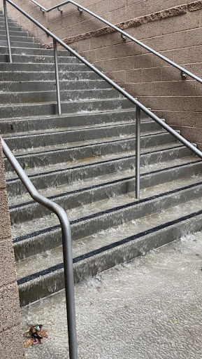 Over 100 inches of rain has accumulated on Sage Creek’s campus in the last year. It is expected that the spring season will welcome more rain and dampness in the future. 