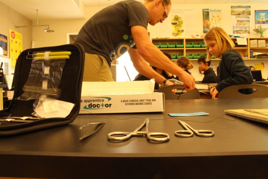 Dr. Nelson assists students in a suture lesson