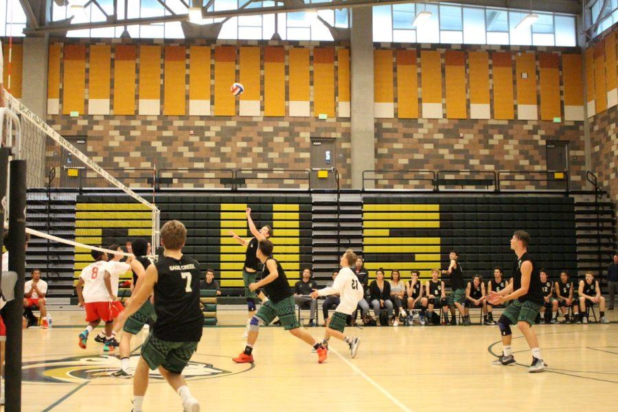 Junior Christian Janke preps himself for a kill during the fourth set against Mt. Carmel.