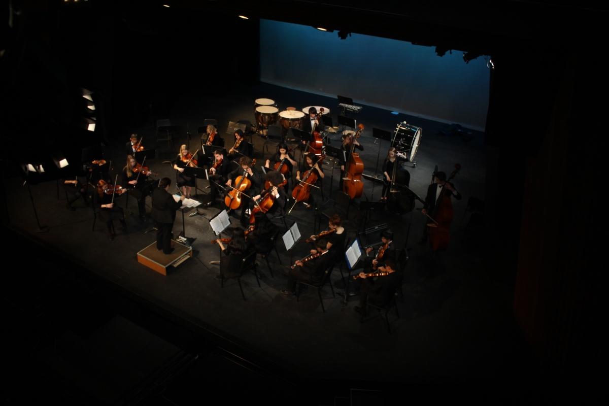 Orchestra Concert Photos