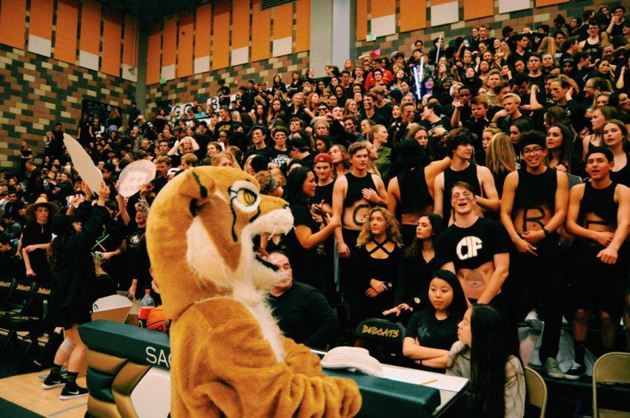 Bobbie looking into the crowd filled with students rooting for the basketball team.