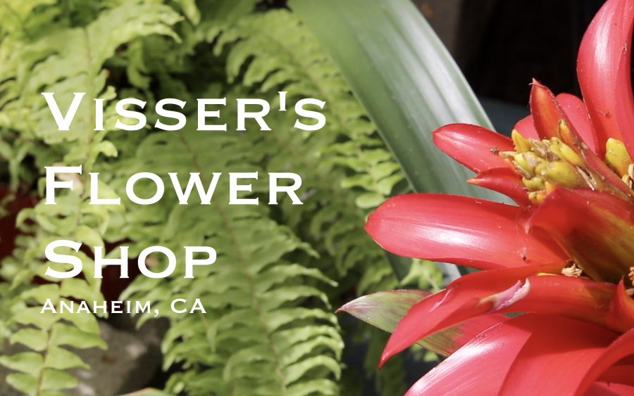 STN 2017: Spot Feature - Visser's Flower Shop