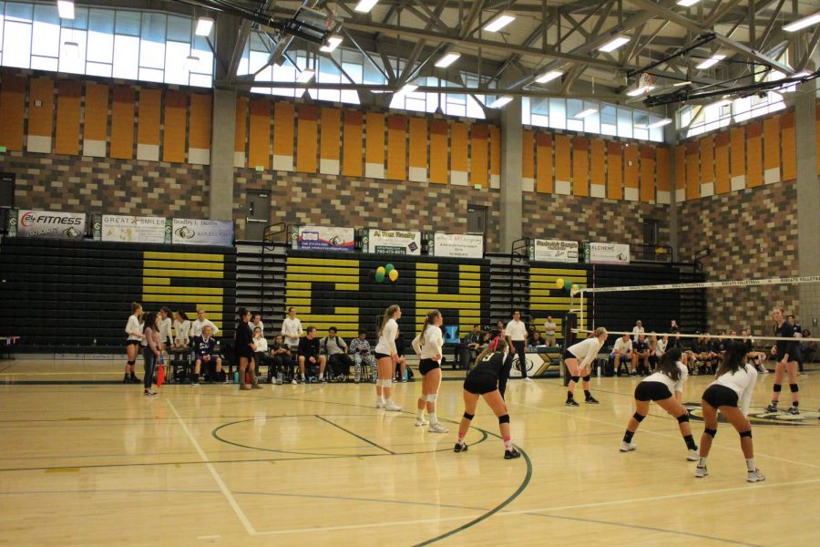 Athletes await the serve. 