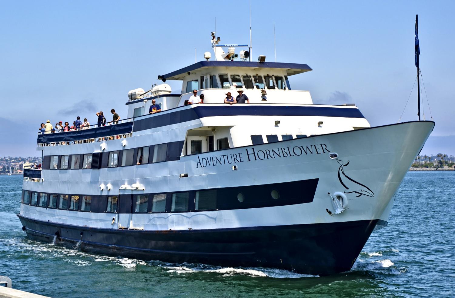 hornblower yacht cruise