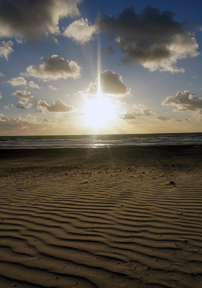 Winter to Spring in Carlsbad