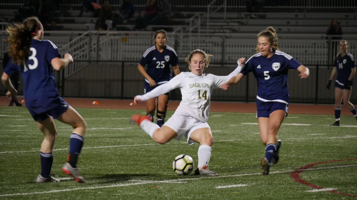 Schoharie girls' soccer star Krohn scores final goal of record-setting  career in regional loss, Sports