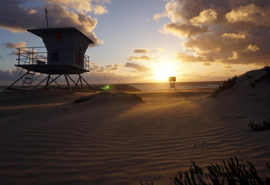 Winter to Spring in Carlsbad