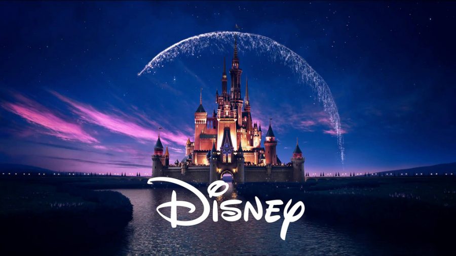 In the Fall of 2019, Disney plans to open up their first streaming service to showcase movies like "Moana."