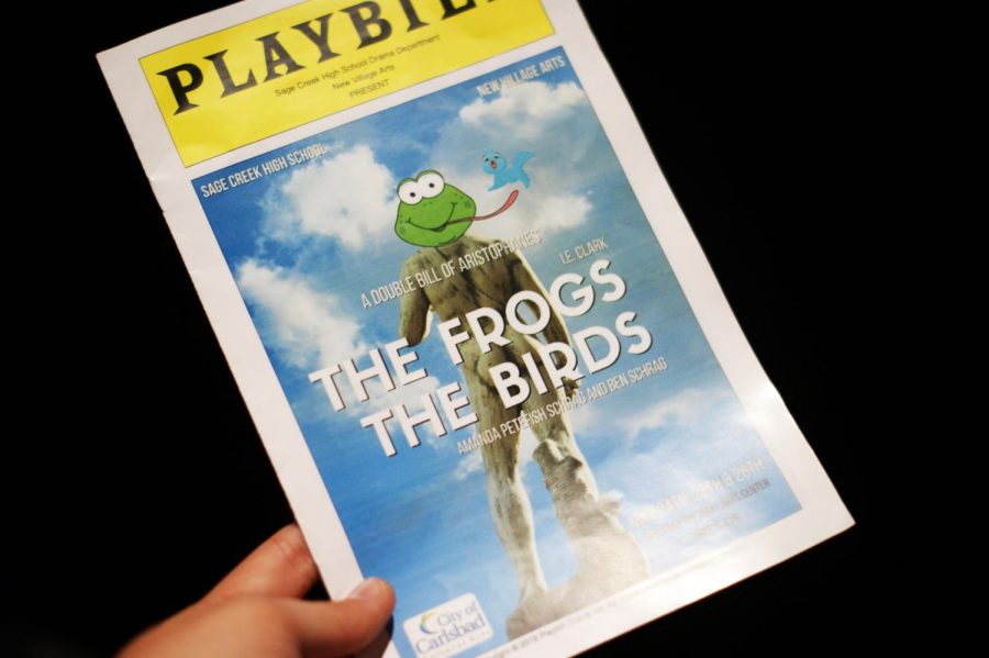 This year’s spring play, “The Frogs and The Birds”, although not one of the school’s more popular shows, was heard to be worth seeing as it brought smiles and laughs to all those who attended.