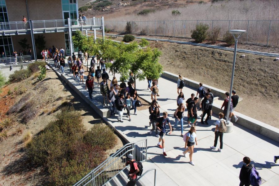 A Freshman's Guide to Walking in the Hallways