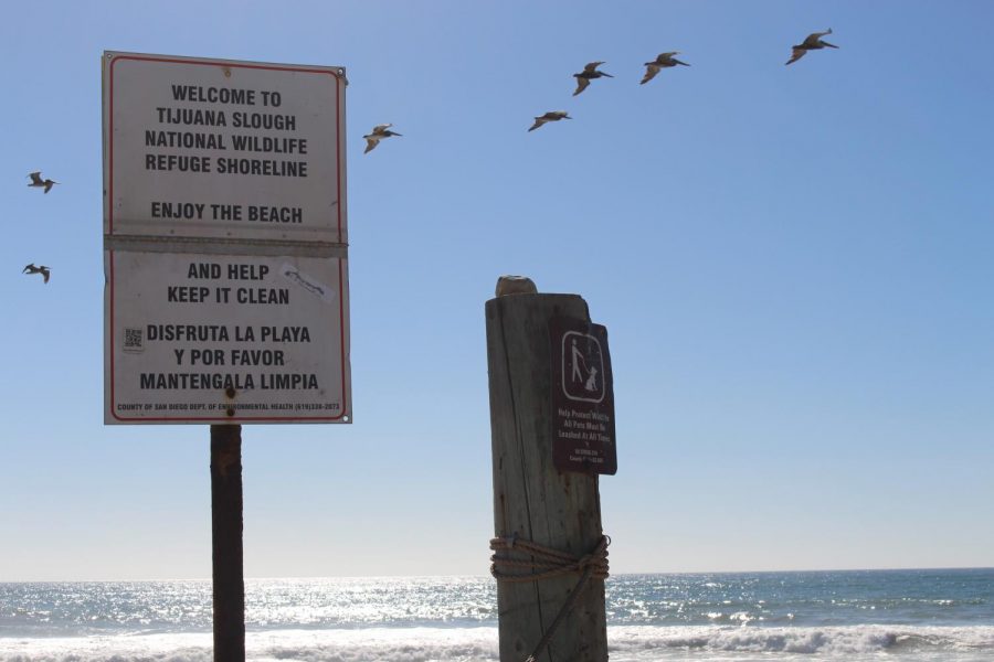 Signs encourage beachgoers to ironically keep the beaches clean and to protect the wildlife it holds. There was no sight of anyone on the beach for a good distance.