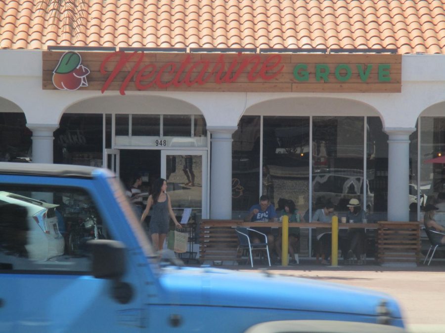 Coastal Culinary Scene: The up and coming restaurant Nectarine Grove sits on the west side of Highway 101. As cars pass by, it was hard to miss the charming nectarine girl that crowns the Cafe. We parked by the the train tracks right across the street.