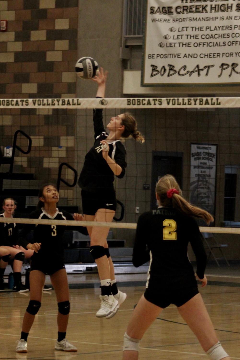 Girls Volleyball CIF Semi Finals Photo Gallery