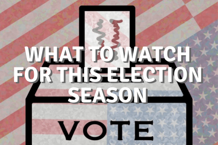 What to Watch for this Election Season