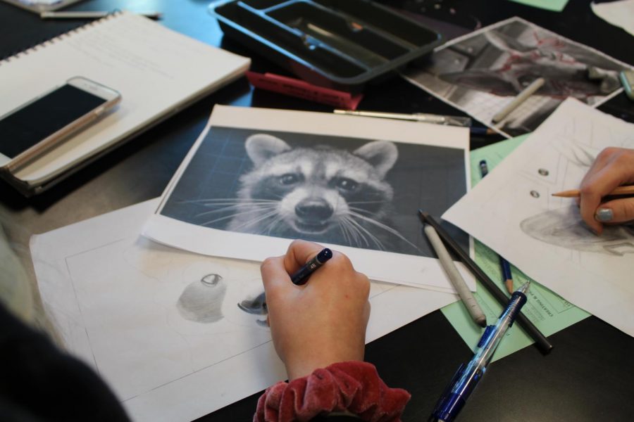 This student took her artistic abilities into drawing a raccoon. Art 1B students worked on recreating animal photos, mainly focusing on the texture within the photo. 