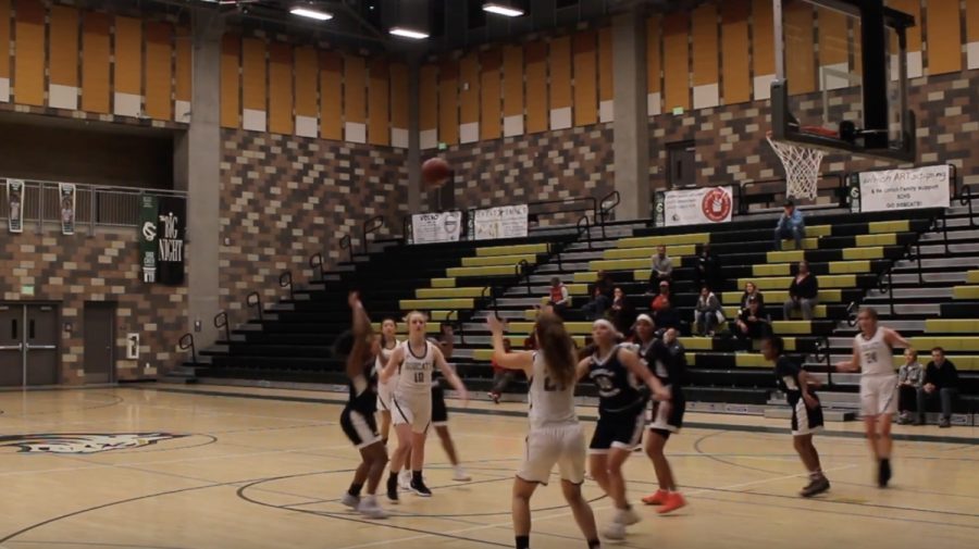Varsity Girls Basketball 2018-2019 Recap