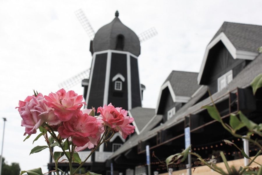 Carlsbad Windmill Turns to Trendy Food Court