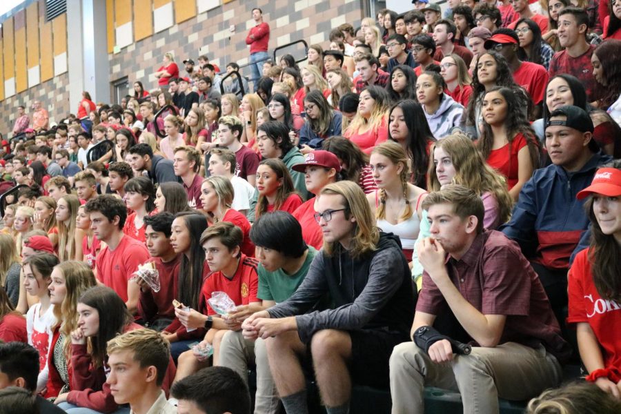 Students gather in the Bobcat Arena to hear an impactful and informative speech given by Mark Manion. Mark Manion is a victim of a drunk driving accident who encourages students to say no drugs and alcohol.