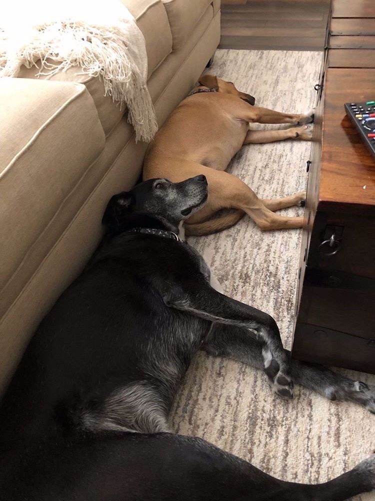 Wrigley and Sam