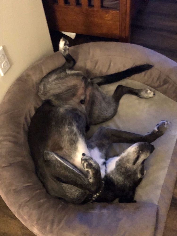 Wrigley and Sam