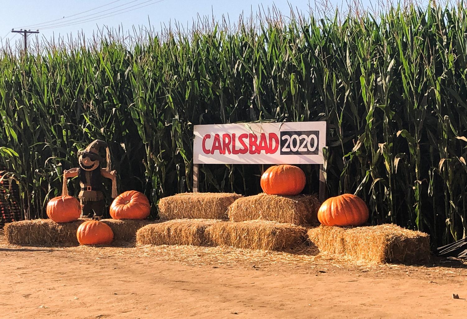 Carlsbad Pumpkin Patch is Open for the Season The Sage