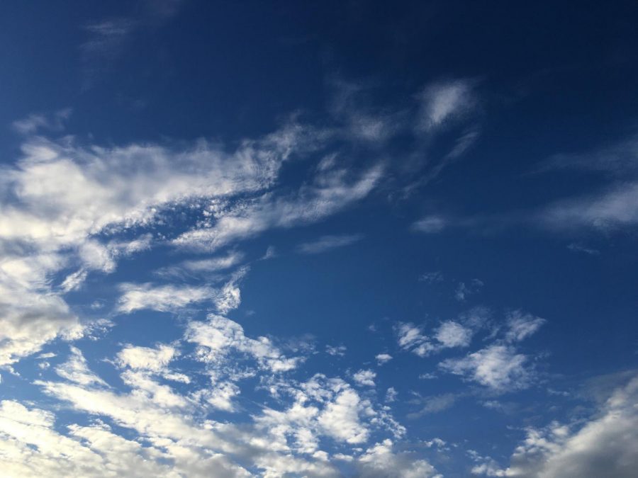 This weekend brought the first rain of November and left a beautiful sky. Blue skies, clouds, and crisp air all this week making it feel like fall has begun. 